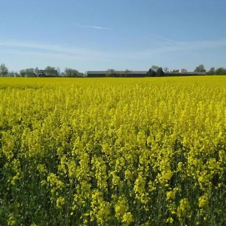 Ferienhaus Forest-edge Family Retreat Leideneck