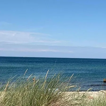 Forest-edge Family Retreat