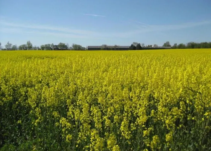 Holiday home Forest-edge Family Retreat Leideneck
