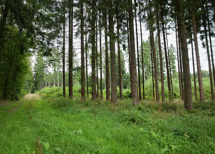 Holiday home Forest-edge Family Retreat *