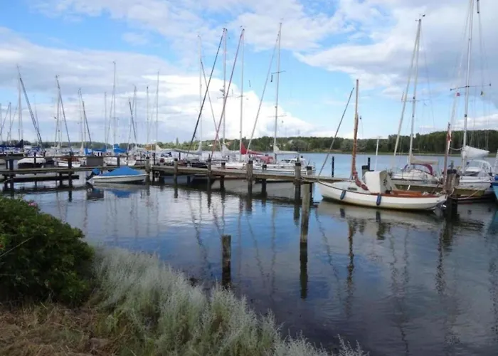 Forest-edge Family Retreat